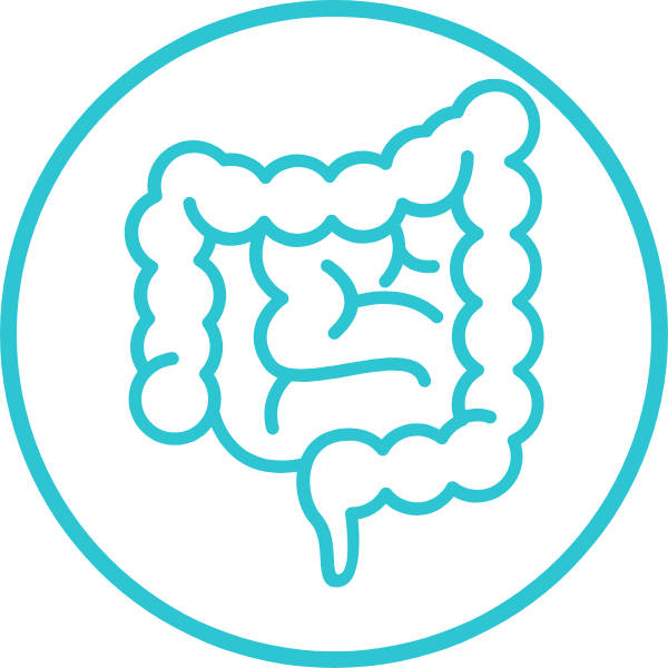 Resección Intestinal y Reconexión